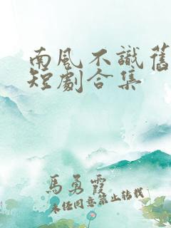 南风不识旧时人短剧合集