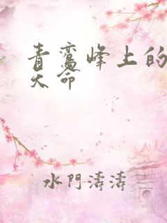 青鸾峰上的无敌天命