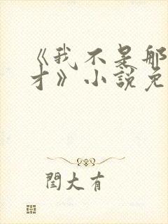 《我不是那种人才》小说免费阅读