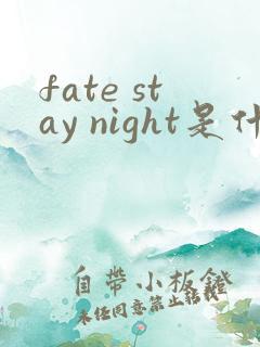 fate stay night是什么