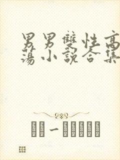 男男双性高h浪荡小说合集