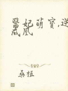 医妃萌宝,逆袭成凰