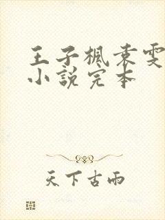 王子枫袁雯洁的小说完本