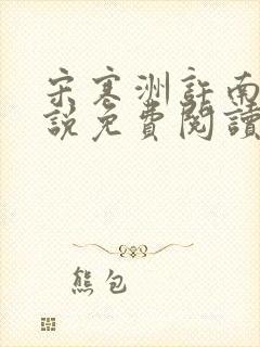 宋寒洲许南栀小说免费阅读最新章节