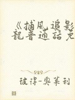 《捕风追影》成龙普通话免费观看