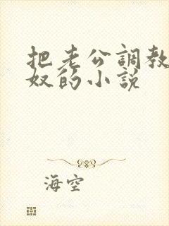 把老公调教成绿奴的小说