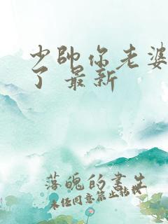 少帅你老婆又跑了 最新