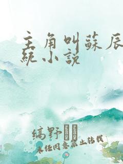 主角叫苏辰有系统小说