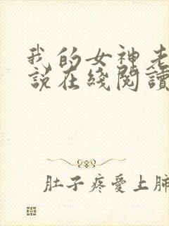 我的女神老婆小说在线阅读