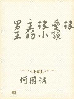 男主很爱很爱女主的小说