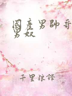 国产男帅哥调教男奴