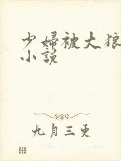 少妇被大狼拘躁小说