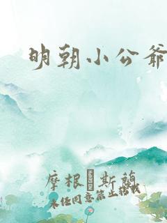 明朝小公爷小说