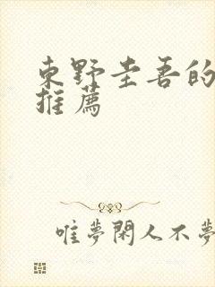 东野圭吾的小说推荐