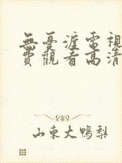 无忧渡电视剧免费观看高清