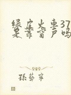 绿皮火车37号是靠窗户吗