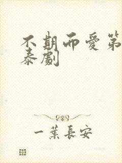 不期而爱第二季泰剧