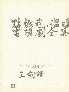 点燃我,温暖你电视剧全集免费