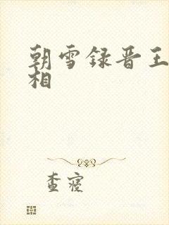 朝雪录晋王案真相