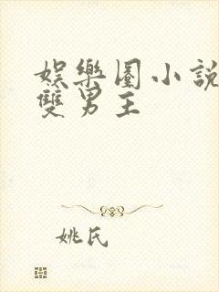 娱乐圈小说推荐双男主