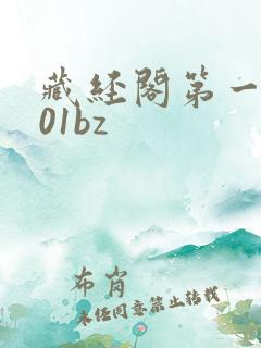 藏经阁第一版主01bz