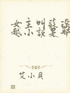 女主叫苏瑶的穿越小说是哪部小说