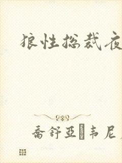 狼性总裁夜欢宠