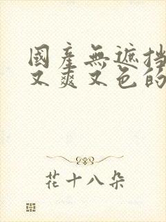 国产无遮挡又黄又爽又色的视频