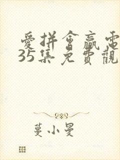 爱拼会赢电视剧35集免费观看高清