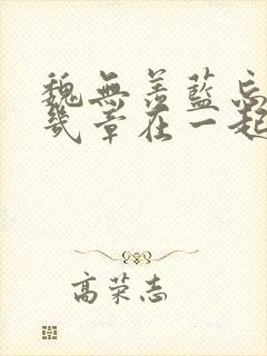 魏无羡蓝忘机第几章在一起的