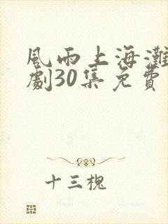 风雨上海滩电视剧30集免费