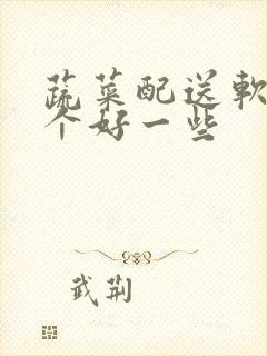 蔬菜配送软件哪个好一些