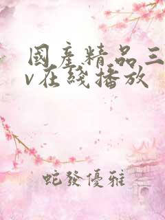 国产精品三级av在线播放