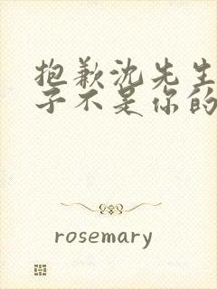 抱歉沈先生,孩子不是你的短剧免费看