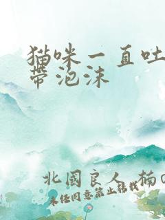 猫咪一直吐黄水带泡沫