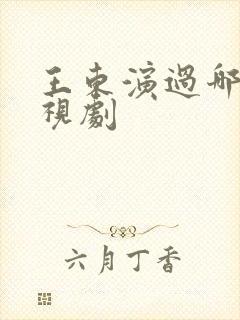 王东演过哪些电视剧