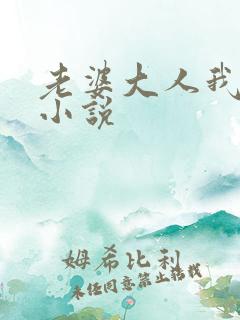 老婆大人我错了小说