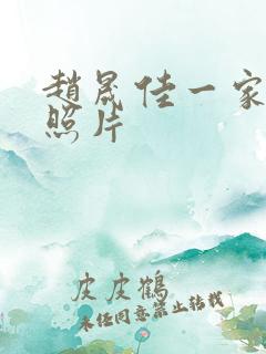 赵晟佳一家三口照片