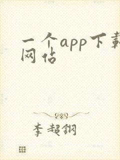 一个app下载网站