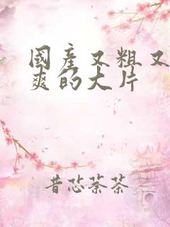 国产又粗又黄又爽的大片