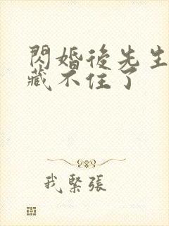 闪婚后先生马甲藏不住了