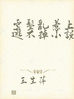 云鬓乱惹上权臣逃不掉小说全文免费阅读