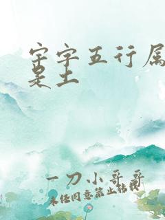 宇字五行属金还是土