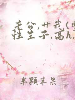 老公,艹我(双性生子,高h,1v1)