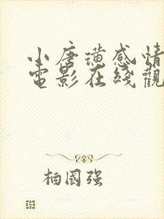 小唐璜感情 史电影在线观看