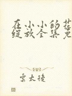 在小小的花蕾里绽放全集免费观看