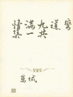 情满九道弯多少集一共