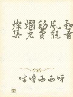 灿烂的风和海全集免费观看