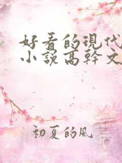 好看的现代言情小说高干文