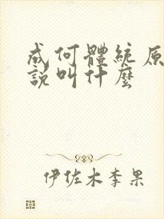 成何体统原著小说叫什么